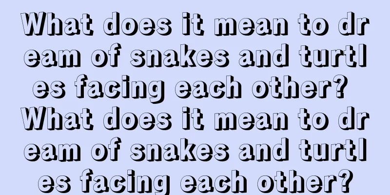 What does it mean to dream of snakes and turtles facing each other? What does it mean to dream of snakes and turtles facing each other?