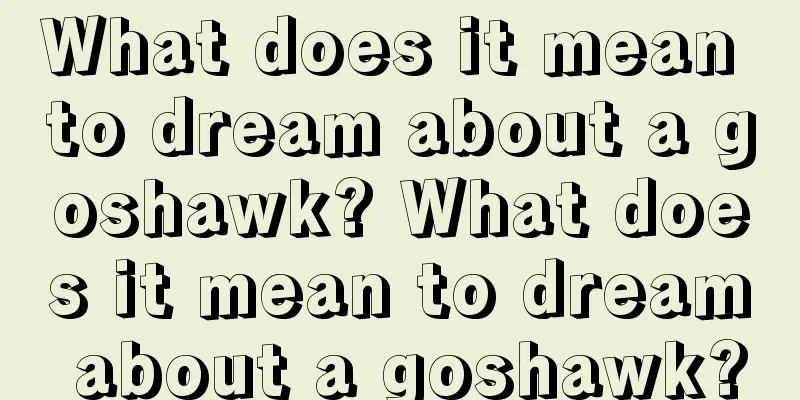 What does it mean to dream about a goshawk? What does it mean to dream about a goshawk?