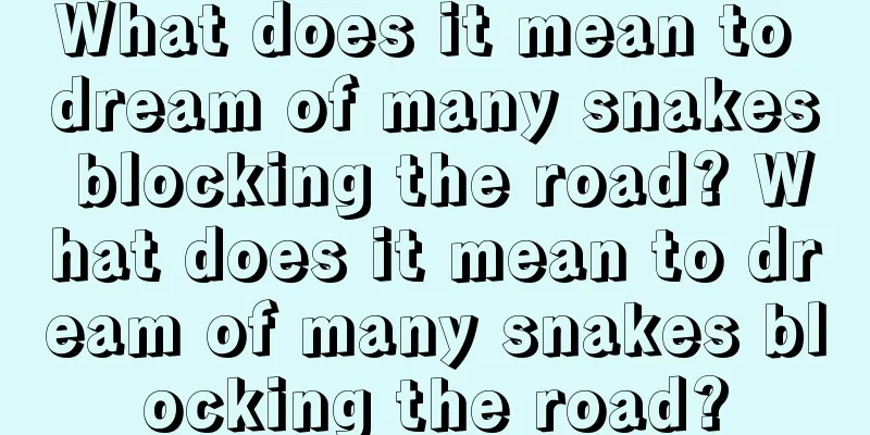 What does it mean to dream of many snakes blocking the road? What does it mean to dream of many snakes blocking the road?