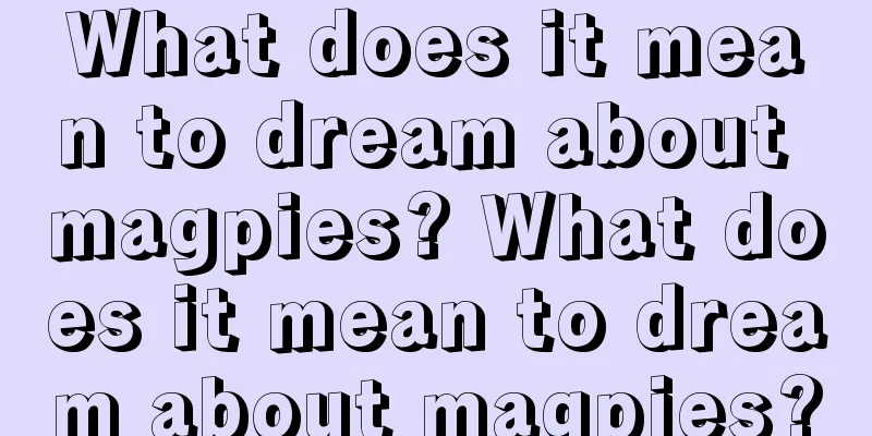 What does it mean to dream about magpies? What does it mean to dream about magpies?