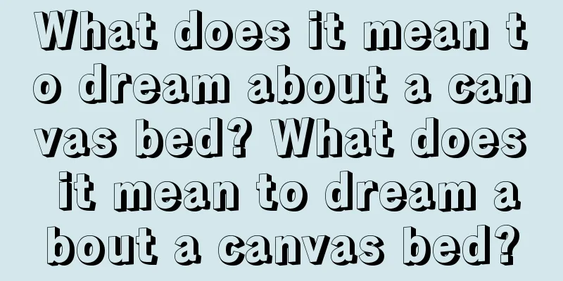 What does it mean to dream about a canvas bed? What does it mean to dream about a canvas bed?