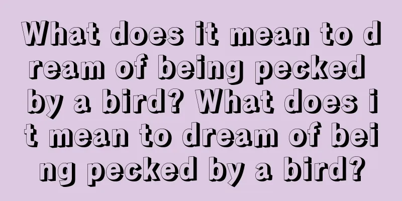 What does it mean to dream of being pecked by a bird? What does it mean to dream of being pecked by a bird?