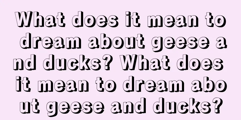 What does it mean to dream about geese and ducks? What does it mean to dream about geese and ducks?