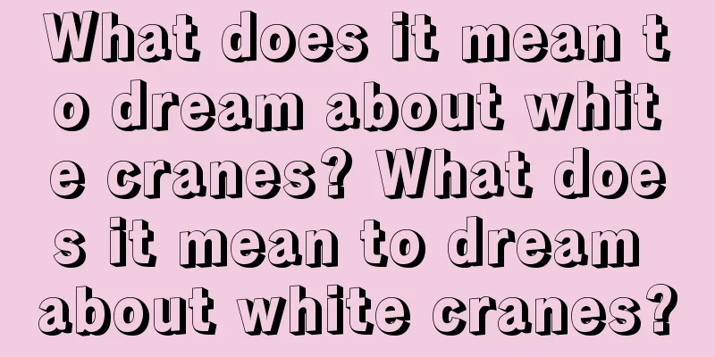 What does it mean to dream about white cranes? What does it mean to dream about white cranes?