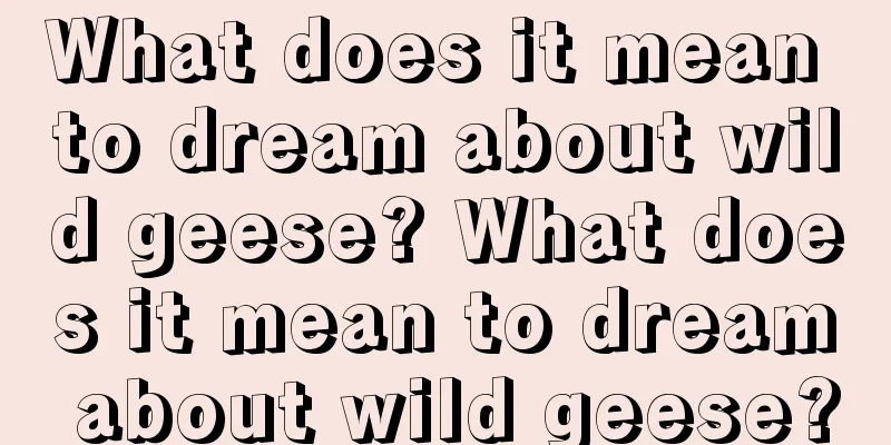 What does it mean to dream about wild geese? What does it mean to dream about wild geese?