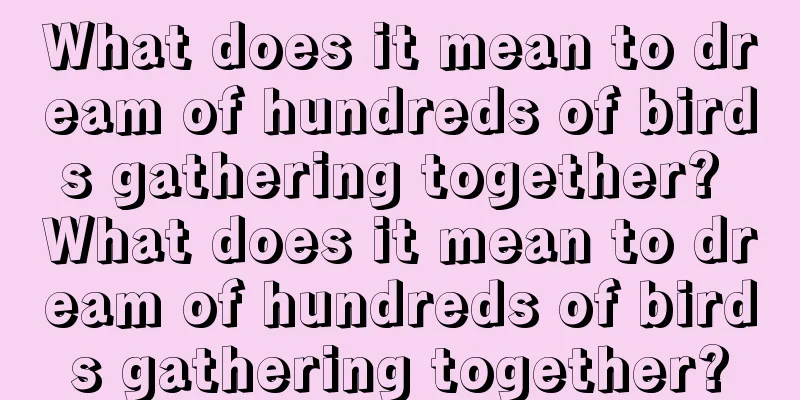 What does it mean to dream of hundreds of birds gathering together? What does it mean to dream of hundreds of birds gathering together?