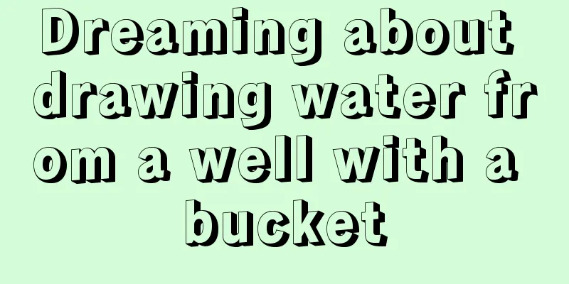 Dreaming about drawing water from a well with a bucket