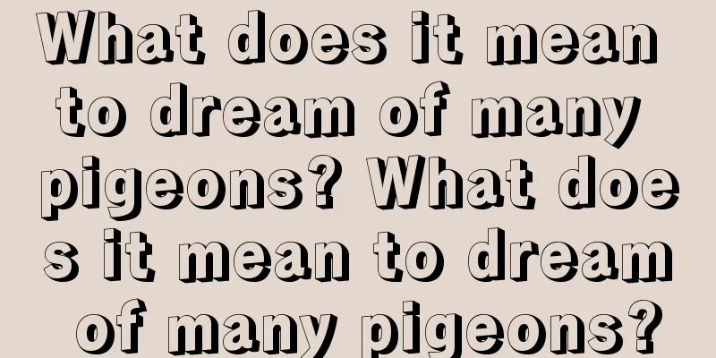 What does it mean to dream of many pigeons? What does it mean to dream of many pigeons?