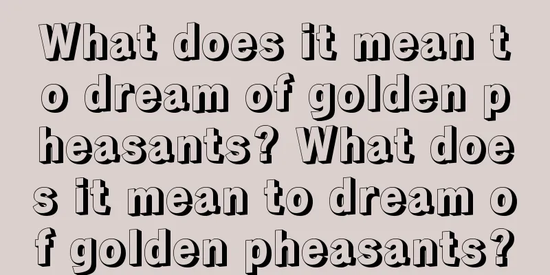 What does it mean to dream of golden pheasants? What does it mean to dream of golden pheasants?