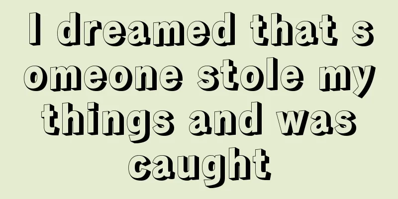 I dreamed that someone stole my things and was caught