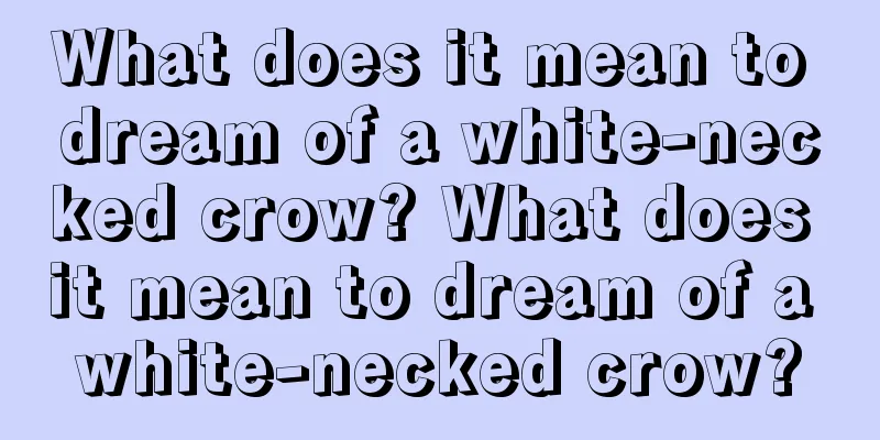 What does it mean to dream of a white-necked crow? What does it mean to dream of a white-necked crow?