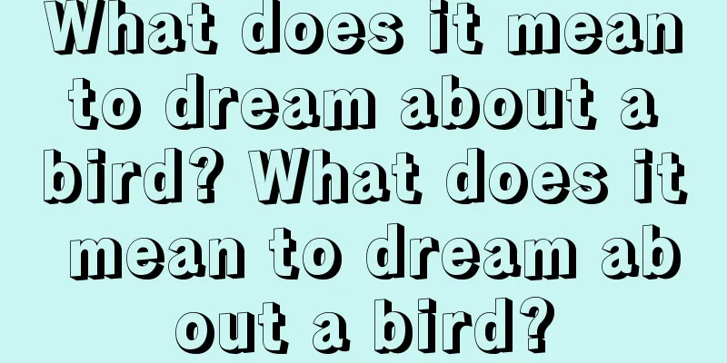 What does it mean to dream about a bird? What does it mean to dream about a bird?