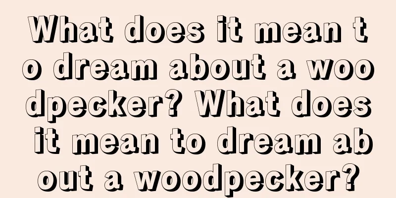 What does it mean to dream about a woodpecker? What does it mean to dream about a woodpecker?