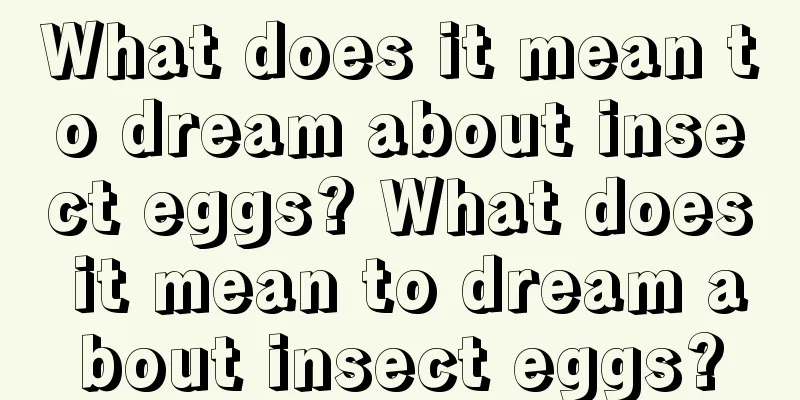 What does it mean to dream about insect eggs? What does it mean to dream about insect eggs?