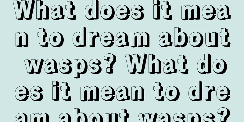 What does it mean to dream about wasps? What does it mean to dream about wasps?