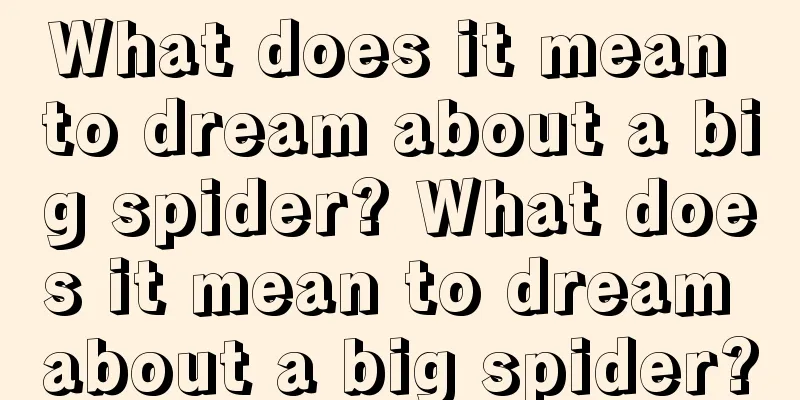 What does it mean to dream about a big spider? What does it mean to dream about a big spider?