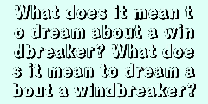 What does it mean to dream about a windbreaker? What does it mean to dream about a windbreaker?