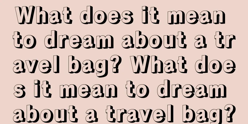 What does it mean to dream about a travel bag? What does it mean to dream about a travel bag?