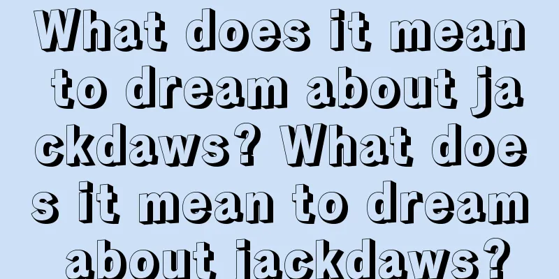 What does it mean to dream about jackdaws? What does it mean to dream about jackdaws?