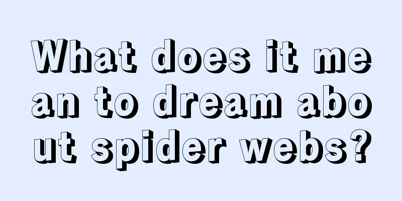 What does it mean to dream about spider webs?