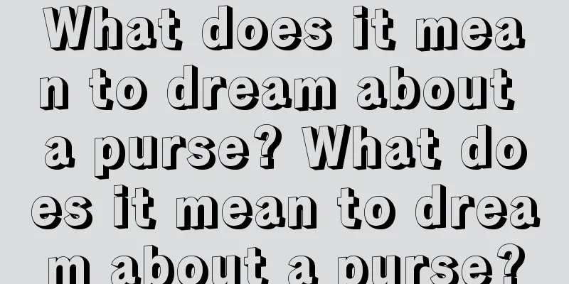 What does it mean to dream about a purse? What does it mean to dream about a purse?