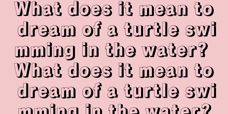 What does it mean to dream of a turtle swimming in the water? What does it mean to dream of a turtle swimming in the water?