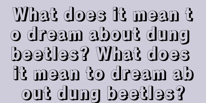 What does it mean to dream about dung beetles? What does it mean to dream about dung beetles?