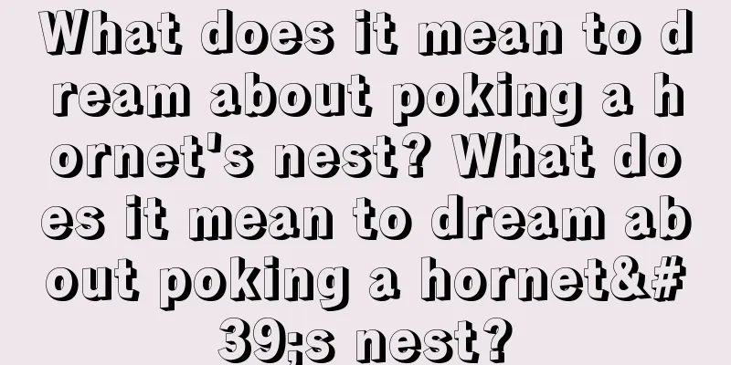 What does it mean to dream about poking a hornet's nest? What does it mean to dream about poking a hornet's nest?