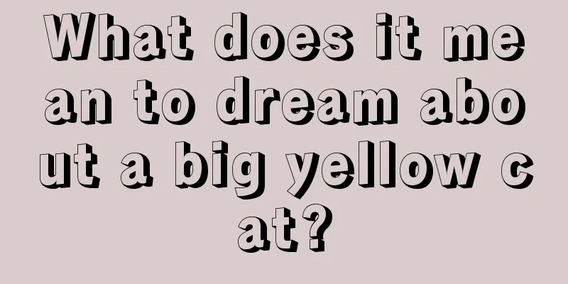 What does it mean to dream about a big yellow cat?