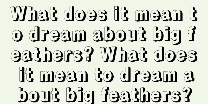 What does it mean to dream about big feathers? What does it mean to dream about big feathers?