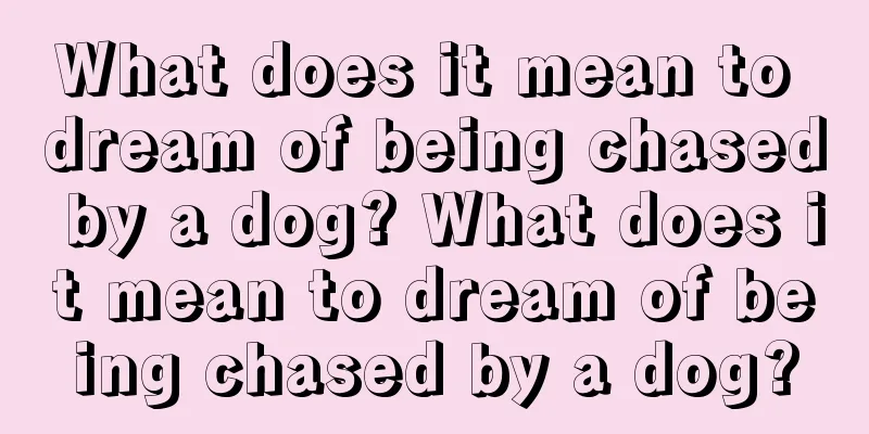 What does it mean to dream of being chased by a dog? What does it mean to dream of being chased by a dog?