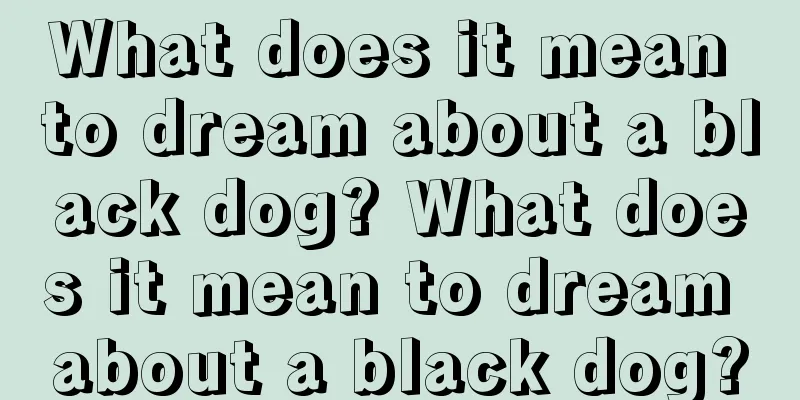 What does it mean to dream about a black dog? What does it mean to dream about a black dog?