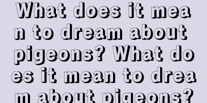 What does it mean to dream about pigeons? What does it mean to dream about pigeons?