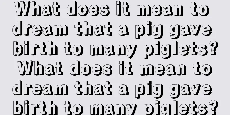 What does it mean to dream that a pig gave birth to many piglets? What does it mean to dream that a pig gave birth to many piglets?