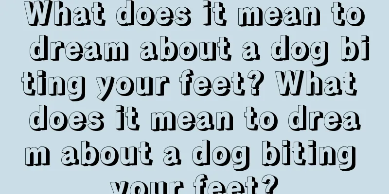 What does it mean to dream about a dog biting your feet? What does it mean to dream about a dog biting your feet?