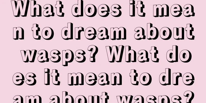 What does it mean to dream about wasps? What does it mean to dream about wasps?