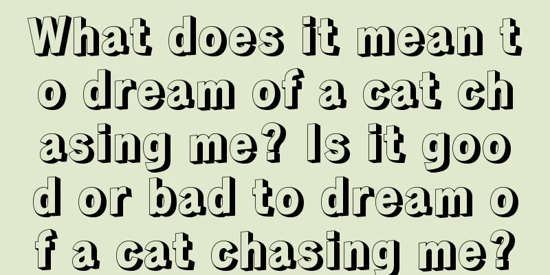 What does it mean to dream of a cat chasing me? Is it good or bad to dream of a cat chasing me?