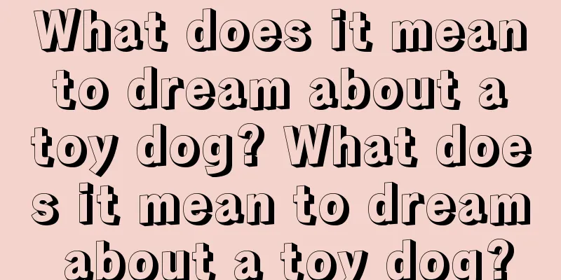 What does it mean to dream about a toy dog? What does it mean to dream about a toy dog?