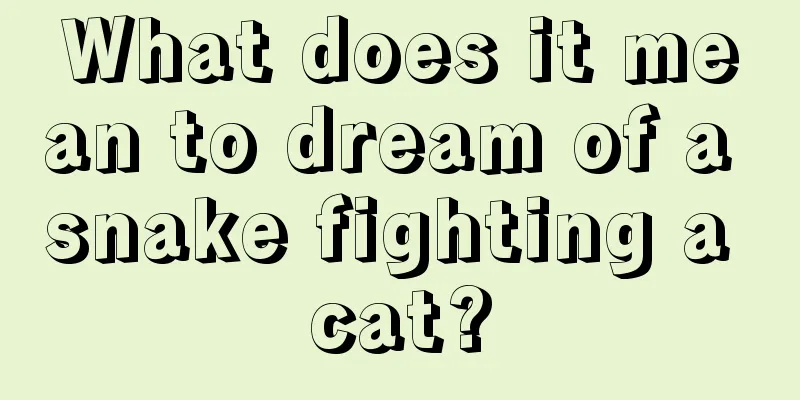 What does it mean to dream of a snake fighting a cat?