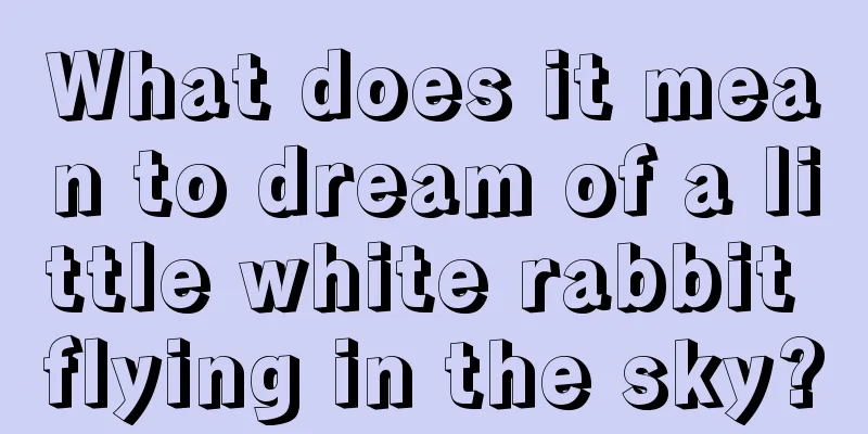 What does it mean to dream of a little white rabbit flying in the sky?