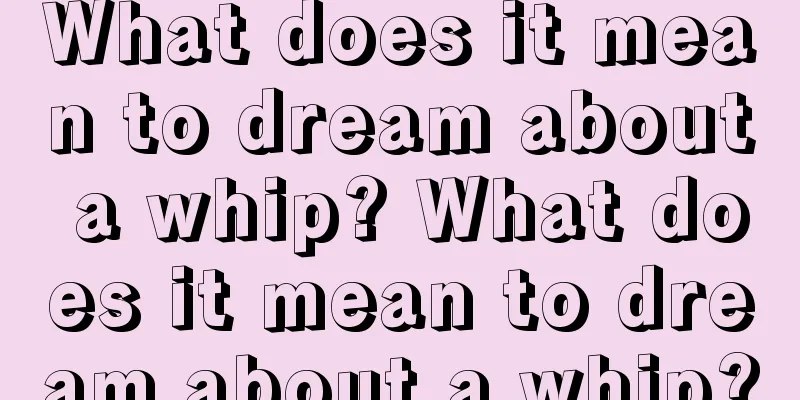 What does it mean to dream about a whip? What does it mean to dream about a whip?