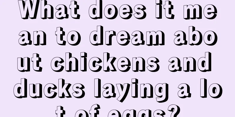 What does it mean to dream about chickens and ducks laying a lot of eggs?