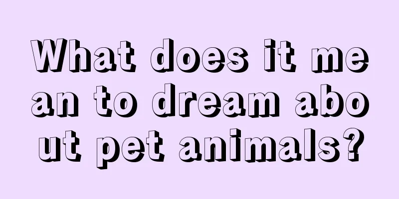 What does it mean to dream about pet animals?