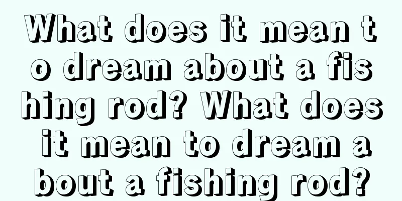 What does it mean to dream about a fishing rod? What does it mean to dream about a fishing rod?