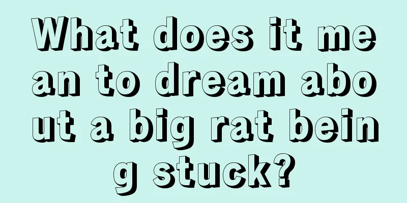 What does it mean to dream about a big rat being stuck?