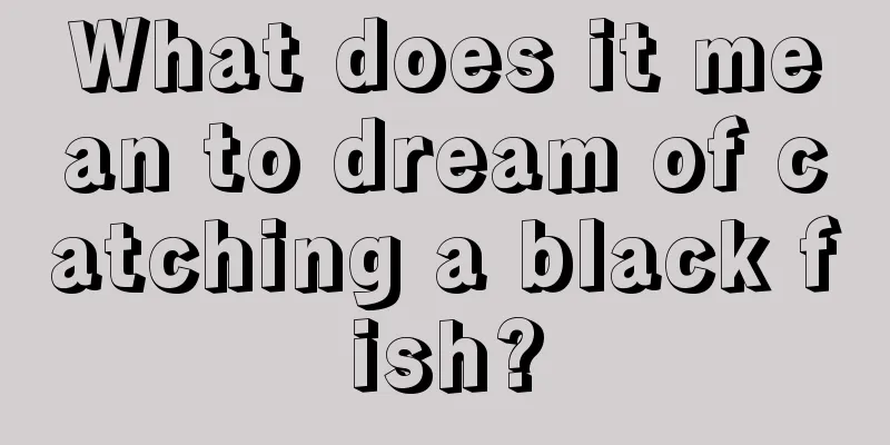 What does it mean to dream of catching a black fish?