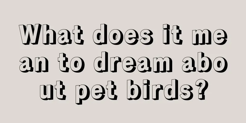 What does it mean to dream about pet birds?