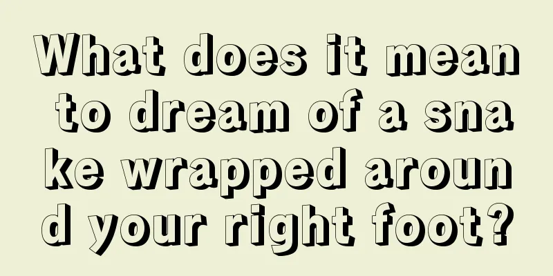 What does it mean to dream of a snake wrapped around your right foot?