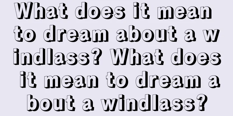 What does it mean to dream about a windlass? What does it mean to dream about a windlass?