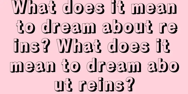 What does it mean to dream about reins? What does it mean to dream about reins?